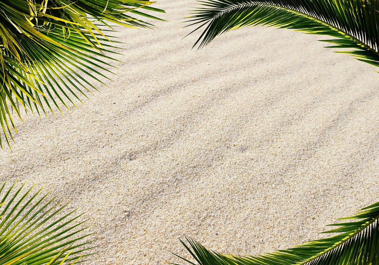 La découverte des Caraïbes : un voyage empreint d'émerveillement et de douleur